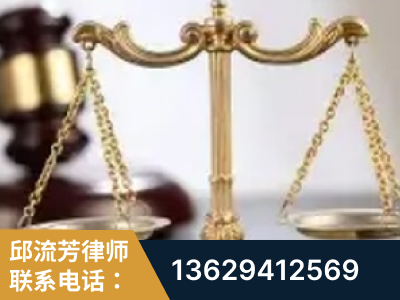 武威-委托诉讼代理人出庭